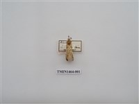 藏品(尺蠖蛾科)的圖片